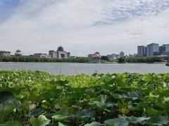 -莲花池公园