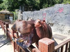 -贵州森林野生动物园