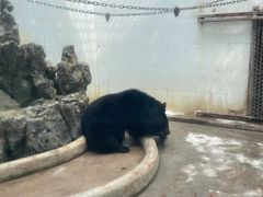 -广东茂名森林公园