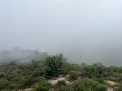 -黄金寨原生态旅游区