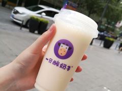 -一只酸奶牛(八一路店)