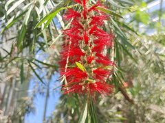 -北京植物园-展览温室