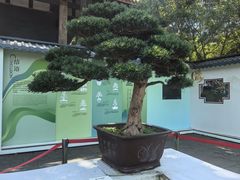 -成都武侯祠博物馆