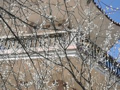 -广州市流溪河国家森林公园