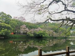 -潮州西湖