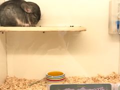 -龙猫仔乐园(惠福东路店)