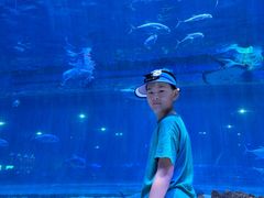 -华夏文旅海洋公园