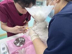 -北京观赏动物医院·24小时大型综合·猫专科·异宠专科