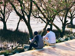 -宝安西湾红树林湿地公园