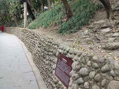 -房湖公园