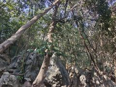 -杭州西湖风景名胜区-三生石