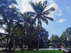 -三亚湾海居铂尔曼度假酒店