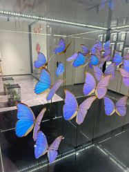 -酷嗒动物文化乐园(cutezoo西溪乐天城店)