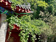 -千佛山风景名胜区