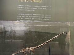 -遇见博物馆(遇见海洋沉浸式奇幻光影展)