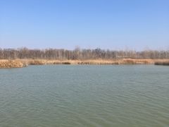 -盐城丹顶鹤湿地生态旅游区