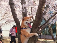 -龙美术馆西岸馆-停车场