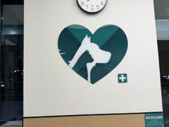 -瑞派康怡24h宠物医院·犬猫医疗中心·微创绝育(瑞景分院)