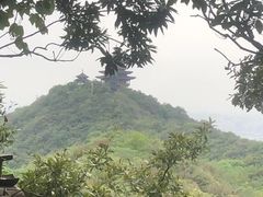 -杭州半山国家森林公园