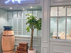 -安格丽娜·狗咖·猫咖羊驼咖(春熙路百盛商场店)