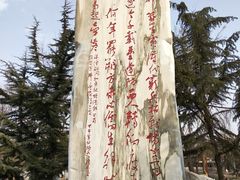 -金城公园