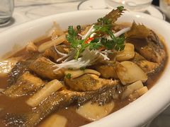 年糕烧大连黄鱼-青雅中餐厅(大连金石滩绿发希尔顿度假酒店)