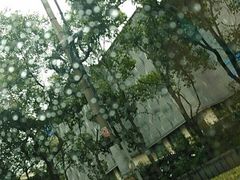 -丽丽三鲜螺蛳粉(田林路店)