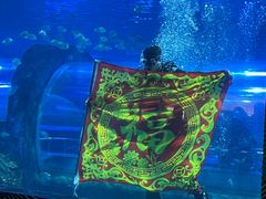 -秦皇岛新澳海底世界