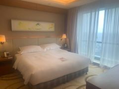 -上海浦东康桥绿地假日酒店