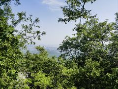 -紫金山山顶公园