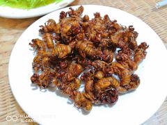 -向民炒鸡老店(火车站店)