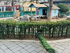 -有喜胶东小馆(太申祥和店)