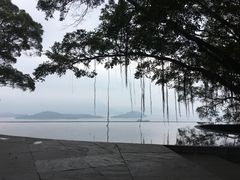 -大埔公路-马料水段香港中文大学(公交站)