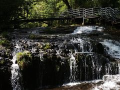 -龙苍沟森林公园