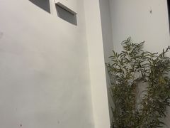 -耳艺采耳·足疗(市桥店)