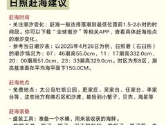 -日照灯塔风景区