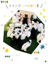 -萌宠亲子动物乐园(槐房万达店)