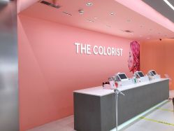 -THE COLORIST调色师