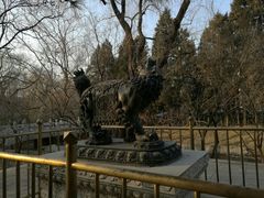 -北京动物园-畅观楼