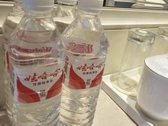 -南京东郊国宾馆