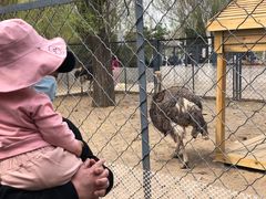 -长白岛森林公园