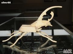 -上海昆虫博物馆