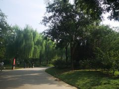 -燕郊植物园