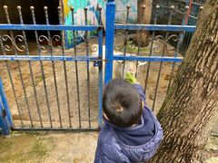 -上海佘山世茂艾美酒店