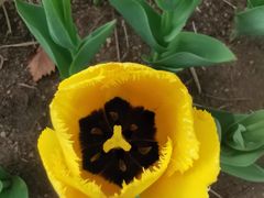 -长春公园(普阳街道)