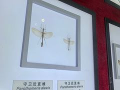 -上海昆虫博物馆