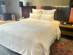 -南京禄口机场雅高铂尔曼大酒店