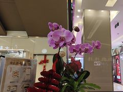 -福田卓悦INTOWN购物中心