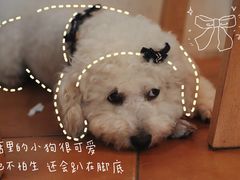-彳亍咖啡·这里(水湾路店)