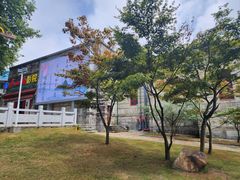 -庐山恋影院(河西路店)